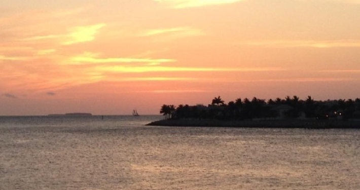 Photo of a sunset over water and palm trees in Florida