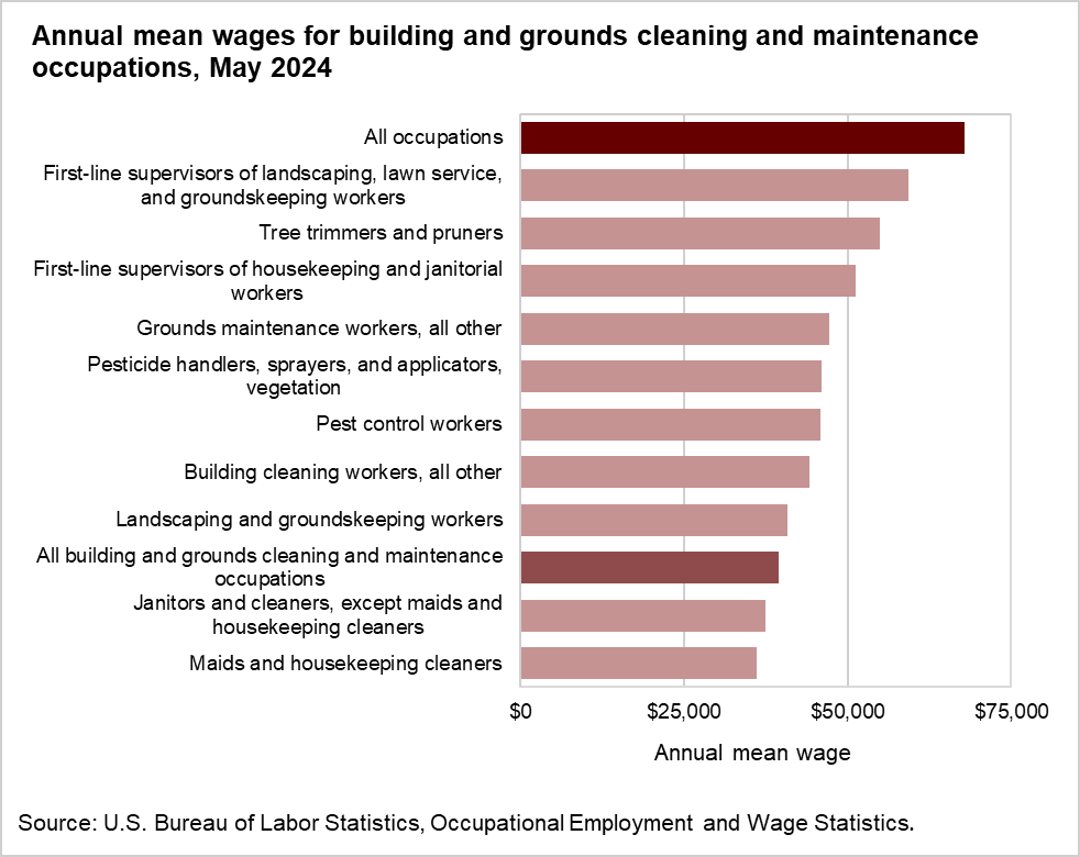 Annual mean wages for building and grounds cleaning and maintenance occupations, May 2024