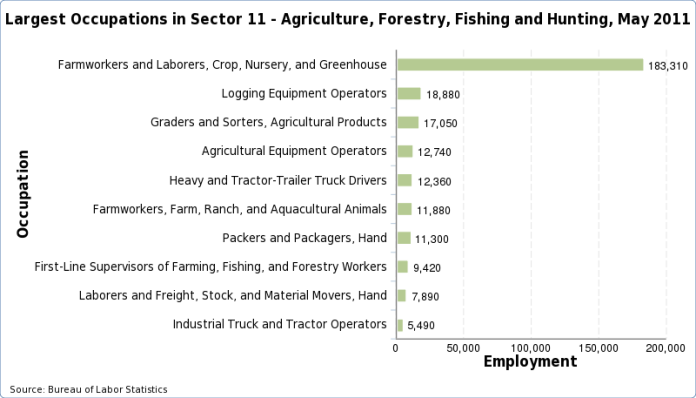 Charts of the largest occupations in each industry, May 2024