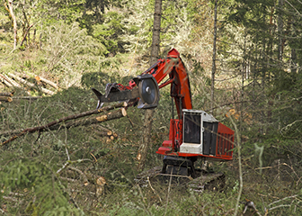 Logging worker operating equipment to pick up fallen trees in the forest.