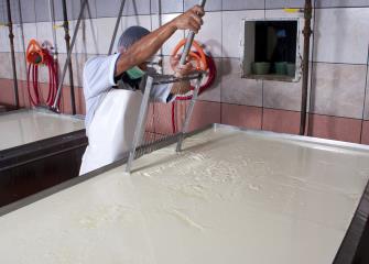 Food and tobacco processing workers