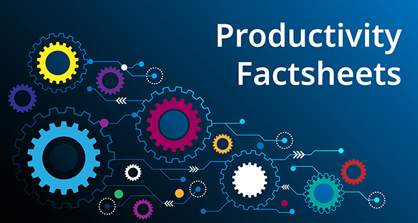 Productivity Factsheets Logo